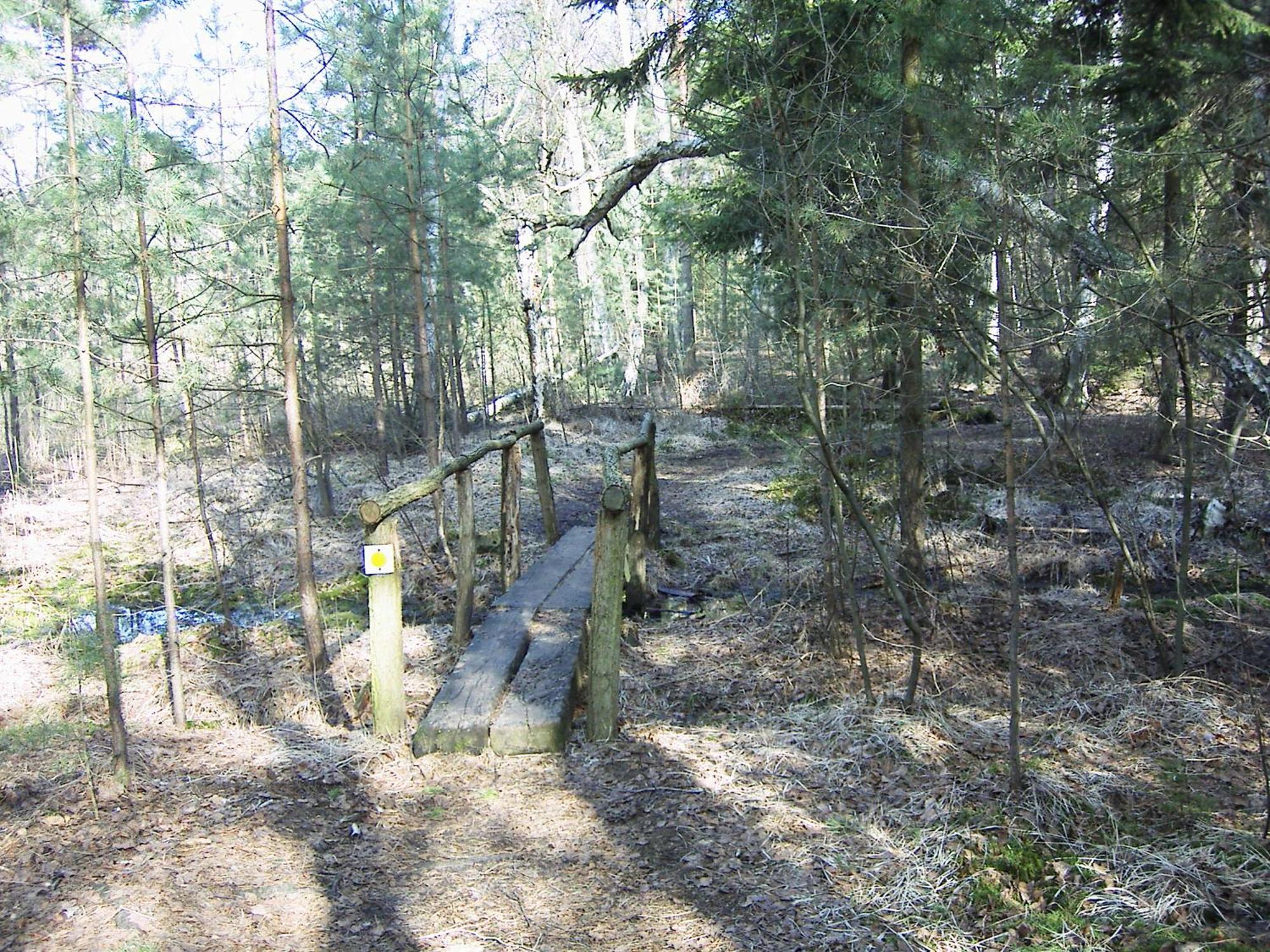 Fewoamglubigsee Wendisch Rietz Extérieur photo